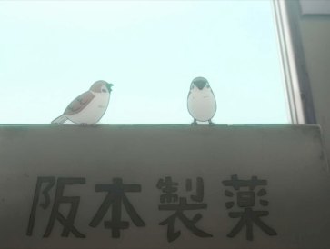 nichijou_birds
